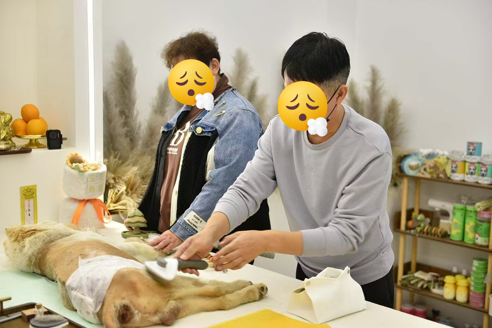 微信图片_20250505102018.jpg